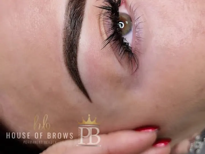 House of Brows in Dublin 15