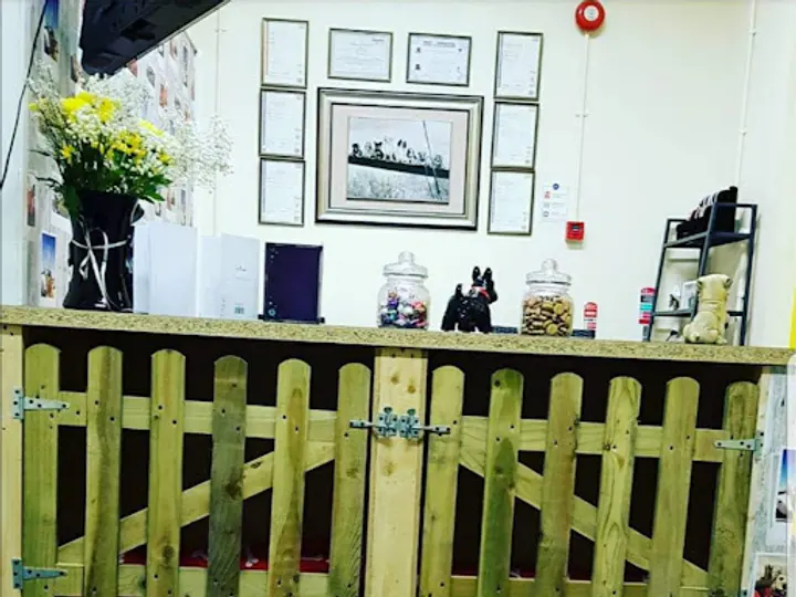 The Dog Parlour in Londonderry